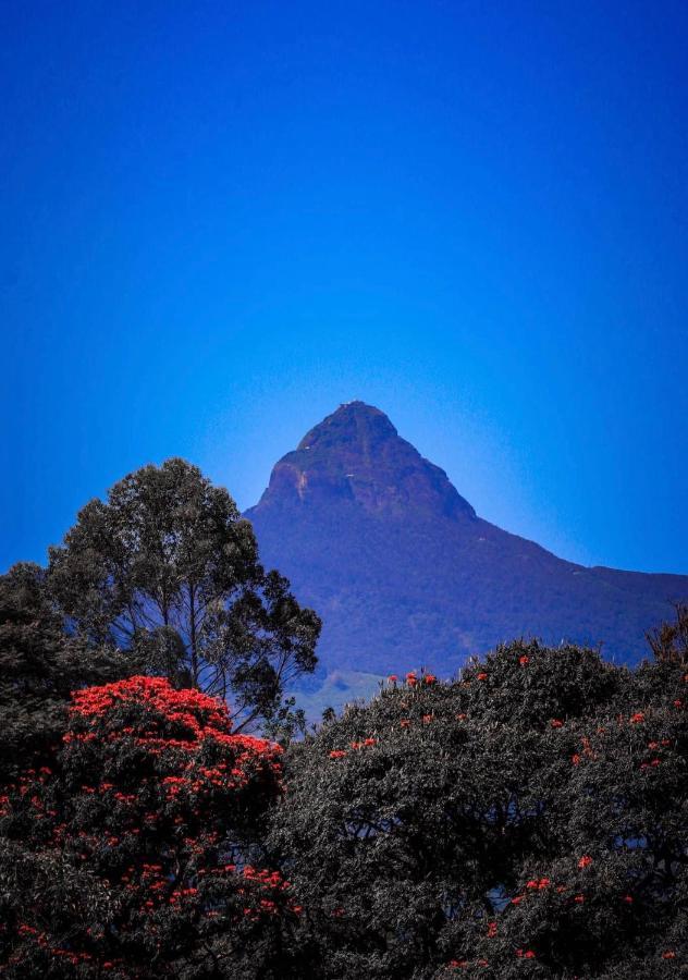 Mini-hôtel Adams Peak 3*